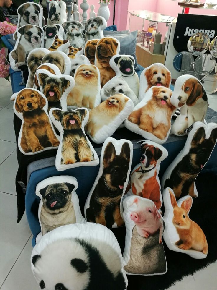 Cojín de mascota con foto personalizada