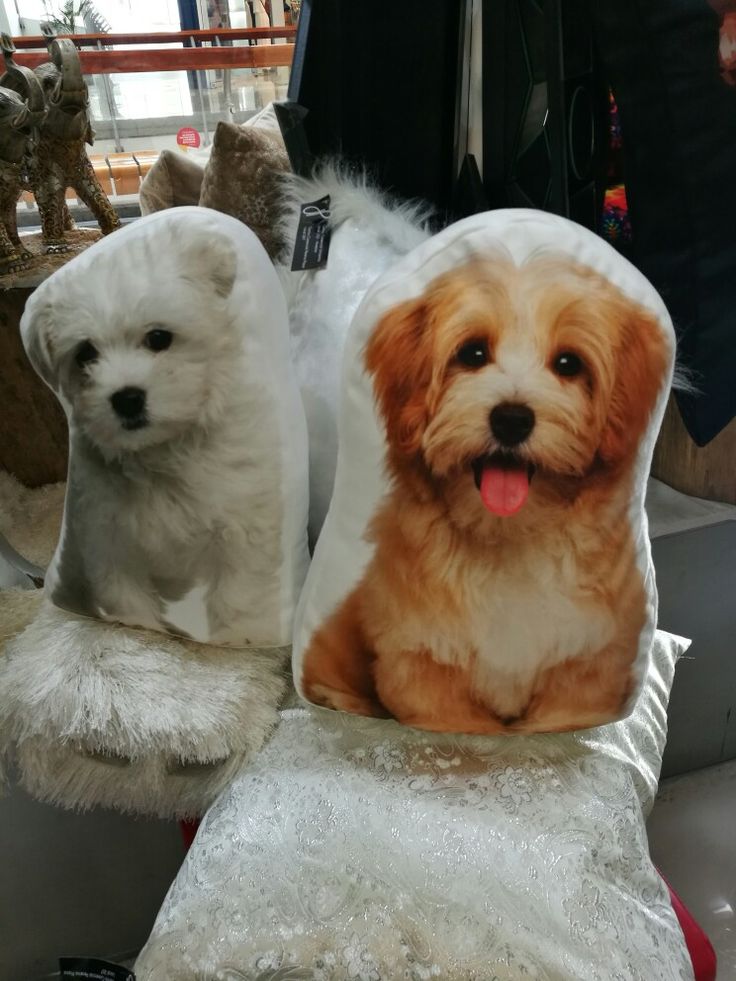 Cojín de mascota con foto personalizada