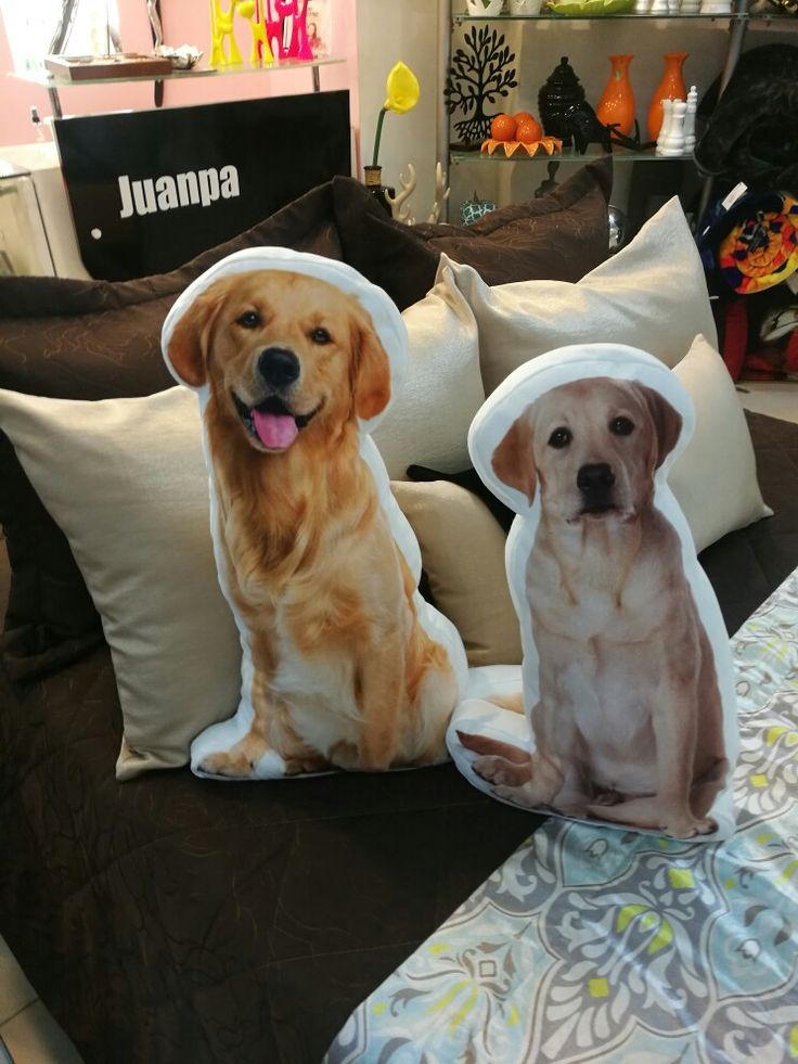 Cojín de mascota con foto personalizada